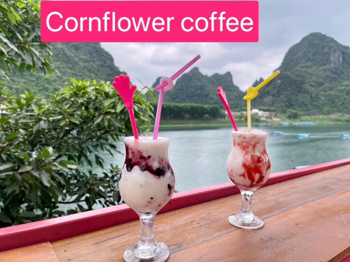 Cornflower Homestay 퐁냐 외부 사진